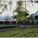 우리집펜션 이미지