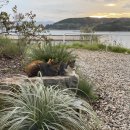 비고리조트 2 이미지