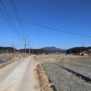 탑골태양광발전소 이미지