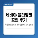 트리아나 - 광명시 철망산로 87 | 세비야 플라멩코 공연 직접 보고 온 후기, 예약 방법부터 좌석 팁까지