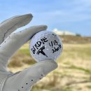 뉴 월드스크린 골프 | 다낭 골프 호이아나 쇼어스 cc 라운딩 후기 - 직접 예약, 조인, 셔틀버스, 락커룸, 드라이빙레인지 등