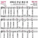 207 티스토리