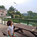 위드해지개 이미지