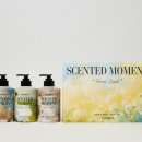 SCENTED 센티드