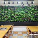 테라아미 이미지