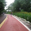 남산 산책로 이미지