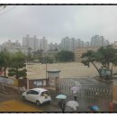 서문초등학교 이미지