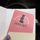 바디신스튜디오 | 충주 켄싱턴 리조트 스튜디오 펫룸 애견동반 내돈내산후기 (바베큐안하고 저녁 꿀팁