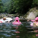 햇살콘도식펜션 | 가리왕산자연휴양림 - 여름 휴가의 마무리, 오감만족 정선 여행