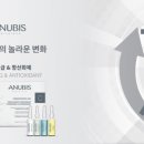 아누비스에스테틱 이미지