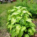 유재근농장 이미지