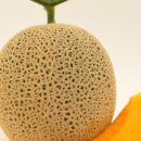 고창행복농장 이미지