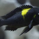 패밀리 아쿠아 이미지