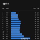 화랑스포츠 | 톰디어 스포츠 러닝 양말 얇은 러닝삭스 여성 후기