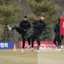 해피쿼카 Daum카페