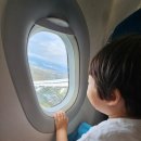 6505 | 1편]27개월 아들과 함께한 나트랑 빈펄리조트 &amp; 스파 나트랑 베이 풀빌라 (4베드룸 6505호) 대가족 여행기