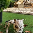 민속촌가든 이미지