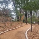 경기도 수원시 권선구 권중로 171 이미지