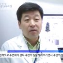 참창의숲 이미지