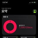 천마여행 이미지