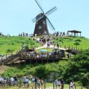 바람의언덕 이미지