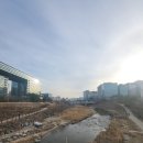 삼평동641-2 이미지