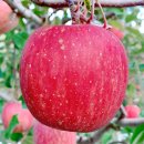 금계농장2 이미지