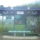 여량초등학교 이미지