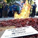 태경농산물 - 13145 | 태경농산물