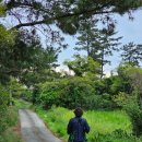 김녕안트레 이미지