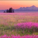 만포주유소 이미지