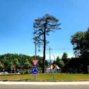 청량학동길 이미지