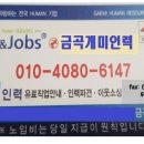 마석개미인력 이미지