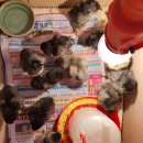 백봉아파트 이미지