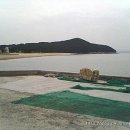 오봉산해수욕장 Daum카페