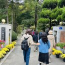 비밀의 숲 익산아가페정원 이미지