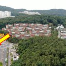 강남-122 네이버블로그