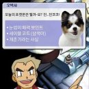 포실하개 이미지