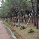 구름따라 그곳에가면 이미지