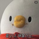 대왕김밥 이미지
