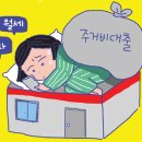 청년진구 이미지