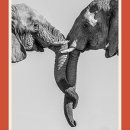 현대장례식장 이미지