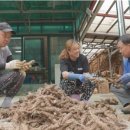 감로농장 이미지