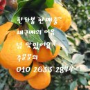 예래동사무소 이미지