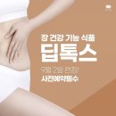 인셀덤힐링대리점