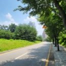 덕산로, 풍초로 이미지