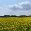 성읍2리마을회관 이미지