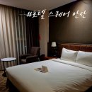 위드바디 휘트니스 | (안산 단원구) 아늑하게 머물기 좋았던 &#39;호텔 스퀘어 안산&#39; 스퀘어 1베드 위드 씨티뷰 숙박 후기