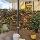 원일식당앞(수세식) | 신혼여행 13일차 마지막 날 - 로마 한식 뷔페 서울 식당, 카스텔 로마노 아울렛, 로마 오페라 후기 :)