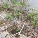 남풍소류지 이미지